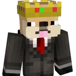 YouAqas_ Minecraft avatar bust