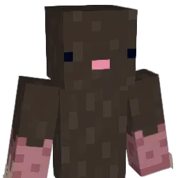 YouWearHerFace Minecraft avatar bust