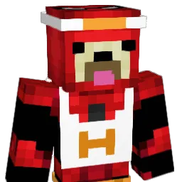 YoungPadawan1 Minecraft avatar bust