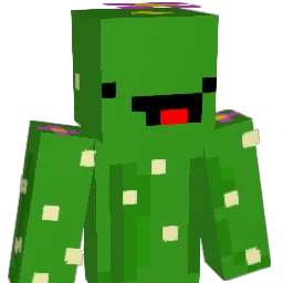 Young_Siimba Minecraft avatar bust