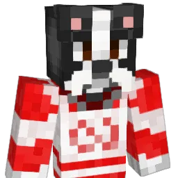 YourC0Pilot Minecraft avatar bust