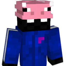 YsLrnT Minecraft avatar bust