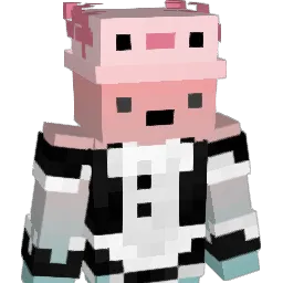 YuanShen_bin Minecraft avatar bust