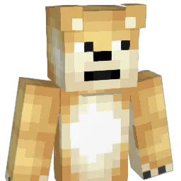 YungDoge_ Minecraft avatar bust