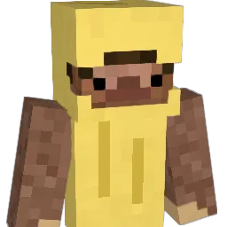 YungMasterLee Minecraft avatar bust
