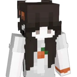 YwY9912 Minecraft avatar bust