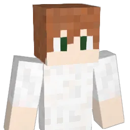 Z0omp Minecraft avatar bust