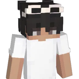 Z1V303 Minecraft avatar bust