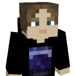 Z31M11 Minecraft avatar bust