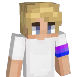 ZAAIT Minecraft avatar bust