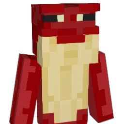 ZAKKONOTE Minecraft avatar bust