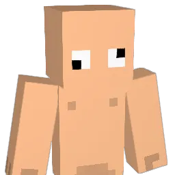 ZCarry Minecraft avatar bust