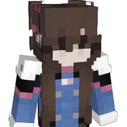 ZGXY's Minecraft skin