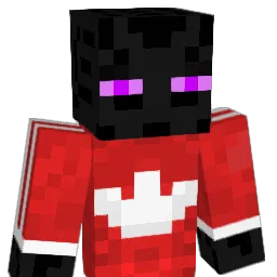 ZIBLACKIING's Minecraft skin