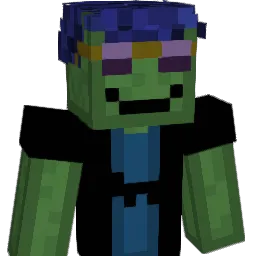 ZOMG00SE Minecraft avatar bust