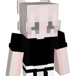 ZR0816 Minecraft avatar bust