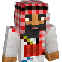 ZS507 Minecraft avatar bust