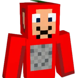 ZSnowt