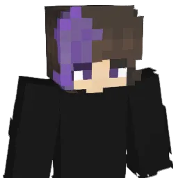 ZUPAV