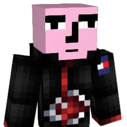 ZWIGGO Minecraft avatar bust