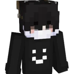 ZXV3 Minecraft avatar bust