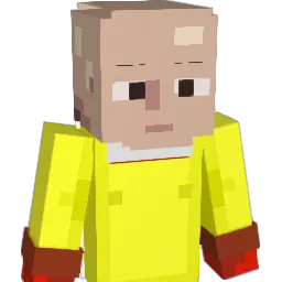 ZY9 Minecraft avatar bust