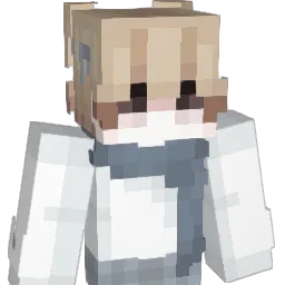 ZYPORY's Minecraft skin