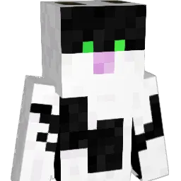 ZZ663 Minecraft avatar bust