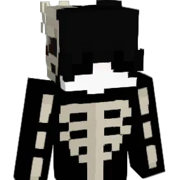 ZZKWAS's Minecraft skin