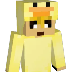 ZZZ_NICK14 Minecraft avatar bust