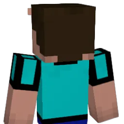 Z_4ki Minecraft avatar bust