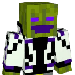 Z_E_P_H_E_R Minecraft avatar bust