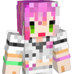 ZaWarudo699 Minecraft avatar bust