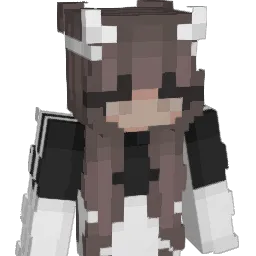 ZaWarudoDio Minecraft avatar bust