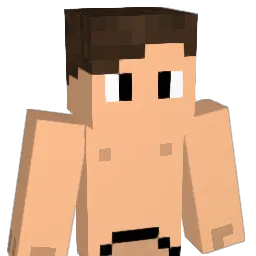 Zaddy_23 Minecraft avatar bust