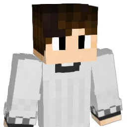 ZakiPoma Minecraft avatar bust