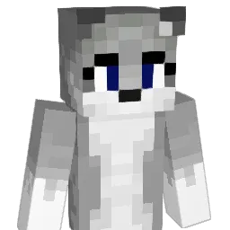 Zanderking5000's Minecraft skin