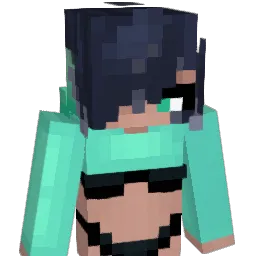 ZanyFinz Minecraft avatar bust