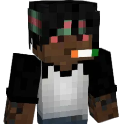 Zanyizm's Minecraft skin