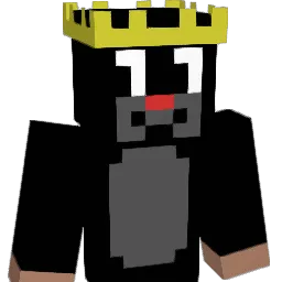 Zawojski Minecraft avatar bust