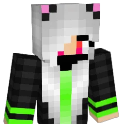 Zayn1010 Minecraft avatar bust