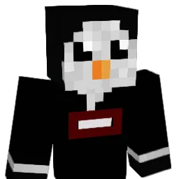 Ze1d_ Minecraft avatar bust