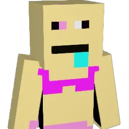 ZeNainP Minecraft avatar bust