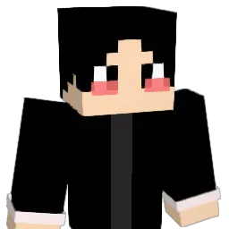 ZeT0nk Minecraft avatar bust