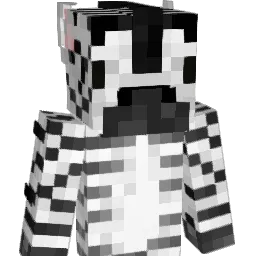 Zebra22