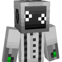Zebra_1023 Minecraft avatar bust
