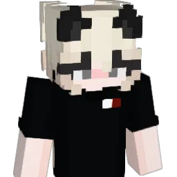 ZecoCo_X Minecraft avatar bust