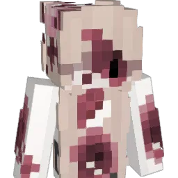 Zei11i Minecraft avatar bust