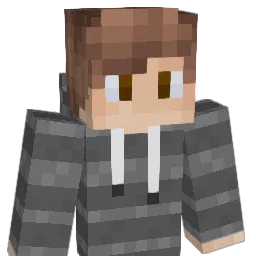 Zeidox Minecraft avatar bust