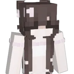 Zelix14 Minecraft avatar bust